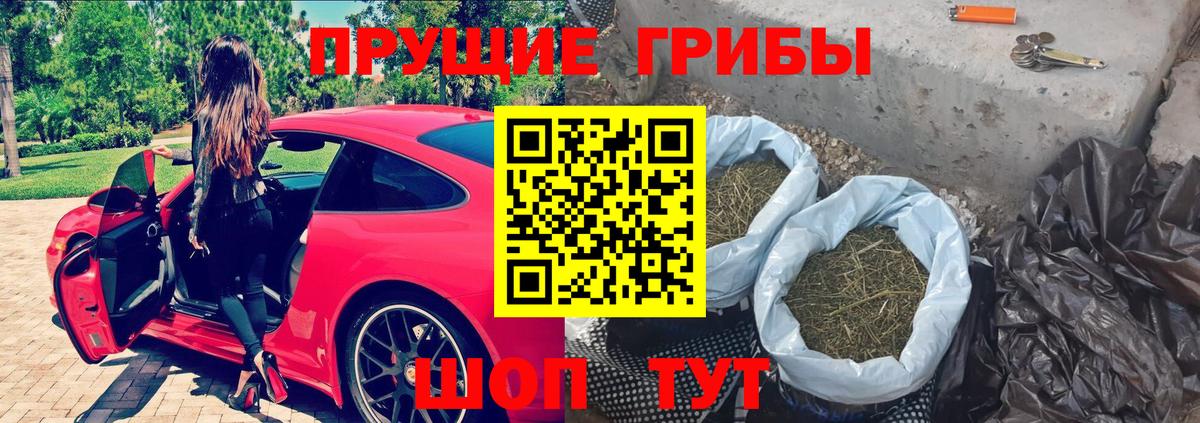 Псилоцибиновые грибы MAGIC MUSHROOMS Гусиноозёрск