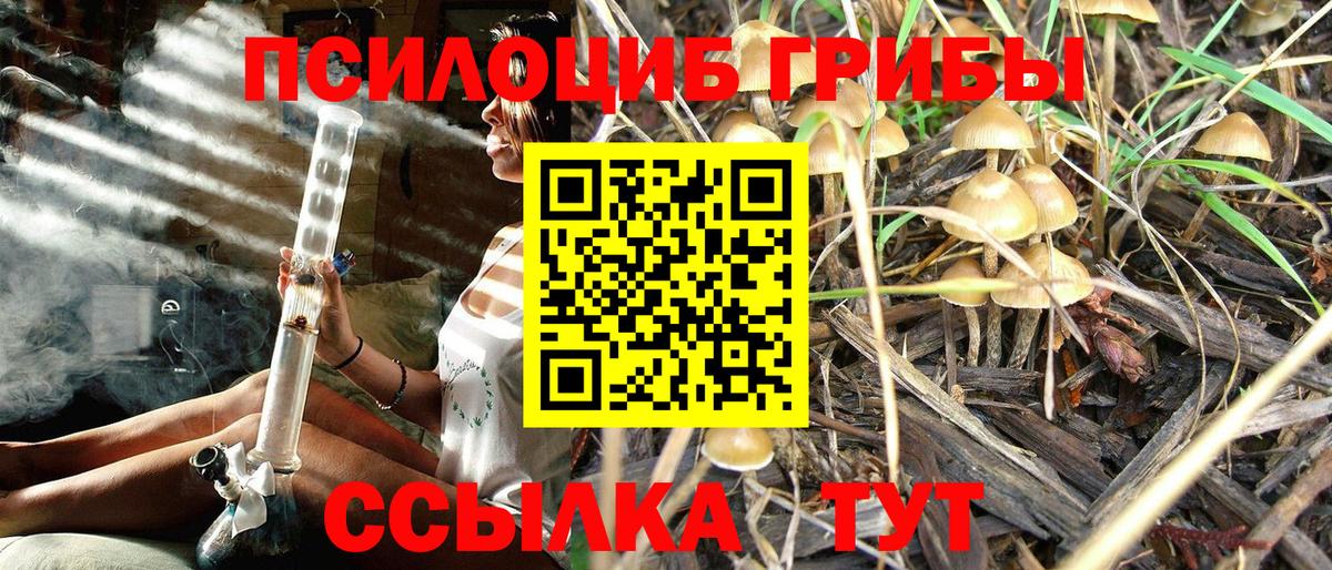 Гусиноозёрск  Псилоцибиновые грибы Psilocybe  Псилоцибиновые грибы мицелий  Вход с VPN 