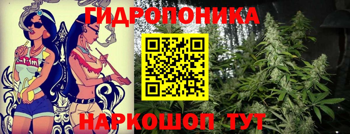 Марихуана Amnesia Гусиноозёрск
